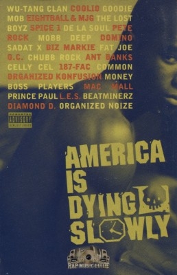 Various Artists - America Is Dying Slowly