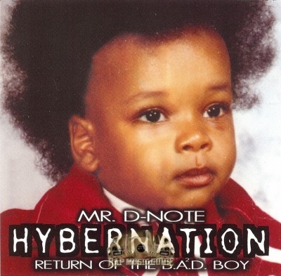 Mr. D-Note - Hybernation