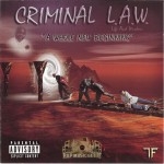 Criminal Law - A Whole New Beginning