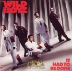 The Wild Boyz - It Had To Be Done