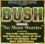 Big Bush - No More Worries