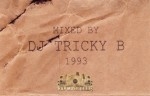 DJ Tricky B - Cardboard Flava