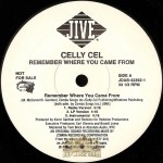 Celly Cel - Remember Where You Came From