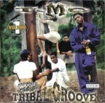 T-Mo - Tribal Groove Volume 1