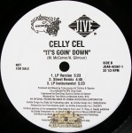 Celly Cel - It's Goin' Down