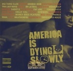 Various Artists - America Is Dying Slowly