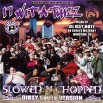 17 Wit A Thizz - 17 Wit A Thizz: Slowed N Chopped