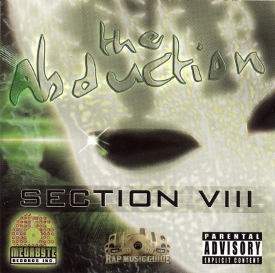 Section VIII - The Abduction