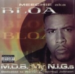 Meechie aka BLOA - M.O.B. My N.I.G.s