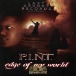 P.I.N.T. - Edge Of My World