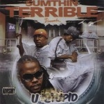 Sumthin' Terrible - U Stupid